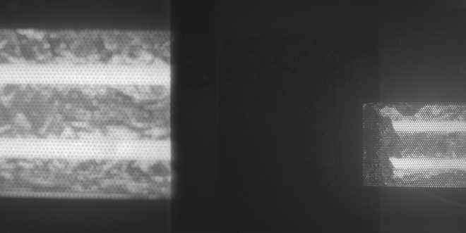 20 KAHN & NEEK, Fuchs2